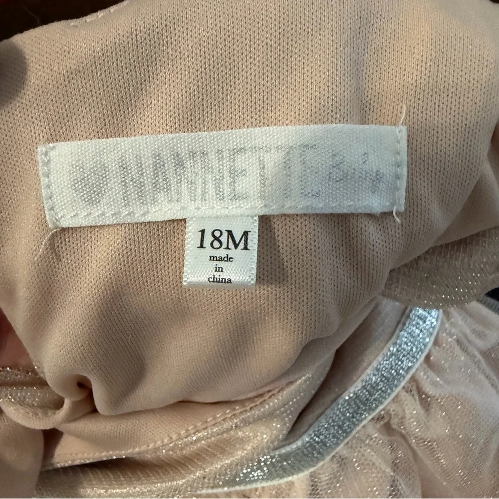 Nannette 3D Rosette Tulle Dress Champagne Pink 18M Flower Girl Birthday Shimmer